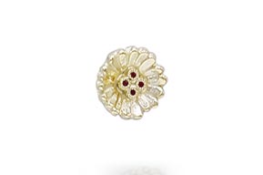 BR-3007-Gouden-brochepin-met-robijn-overview-2